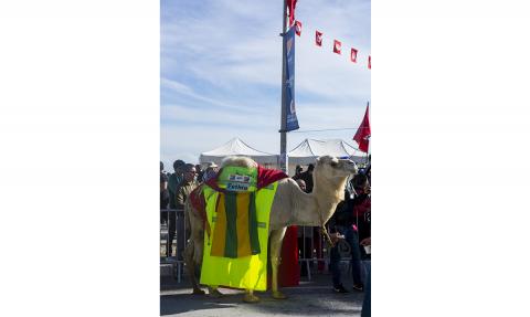 Foulées du Mégara 2018