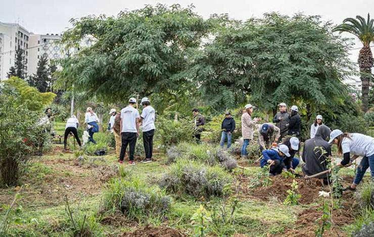 Réhabilitation écologique du jardin des plantes de Tunis : la Fondation BIAT et ses partenaires plantent 500 arbres